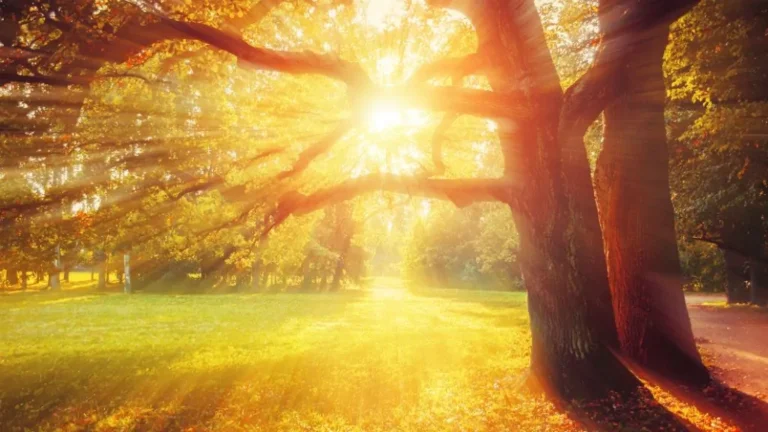 A héten is folytatódik a nyugodt, napsütéses, őszi idő