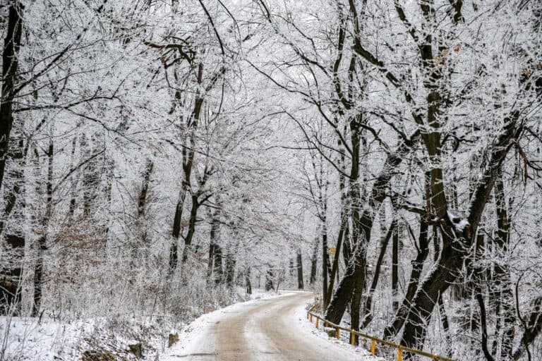 Havazás és lehűlés: pénteken akár 10 centinél is több hó eshet északon