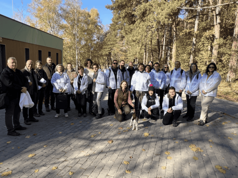 Megkezdődött a károsodott erdőállományok helyreállítása a Nyírjesben