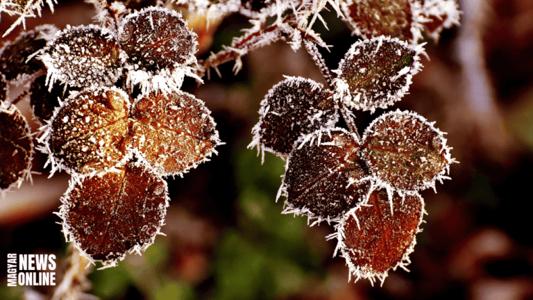 Hétfő estétől elrendelték a vörös kódot a hideg idő miatt