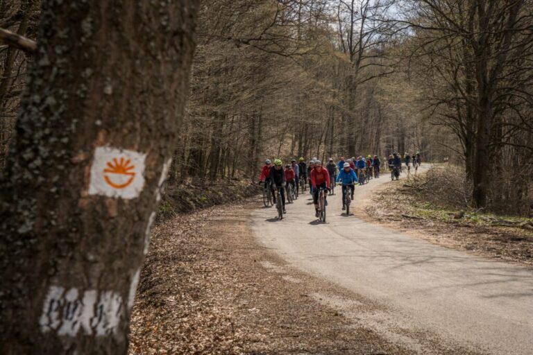 Átadták a Horizont kerékpáros kéktúra Bakonybél és Nagyoroszi közötti szakaszát