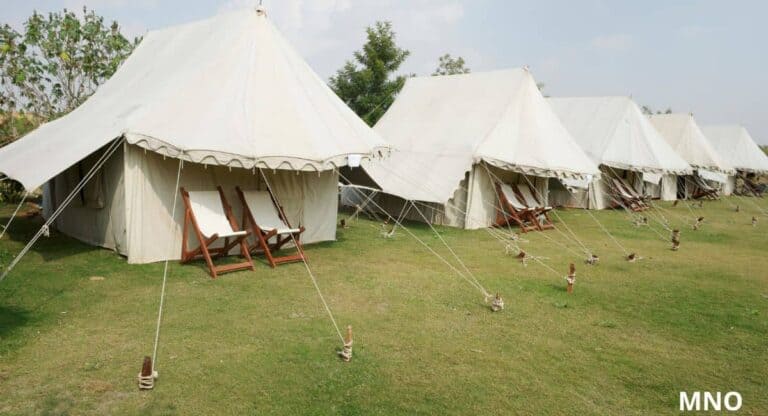 Luxuskempingben támadt a vadállat – a turista életét vesztette, miután kilépett a sátorból