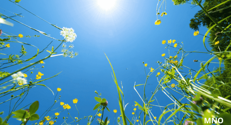 Folytatódik a nyárias időjárás június első hetében is