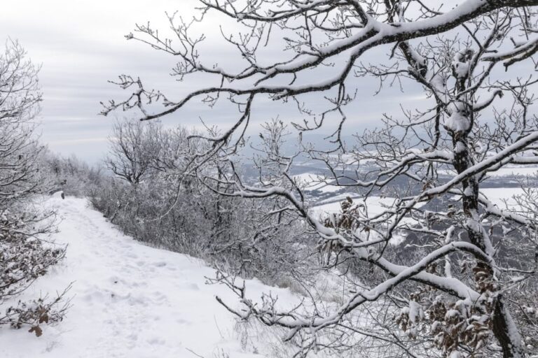 Van, ahol már 35 centis a hótakaró – Itt a térkép arról, hol, mennyi hó esett eddig, és hol jöhet még utánpótlás