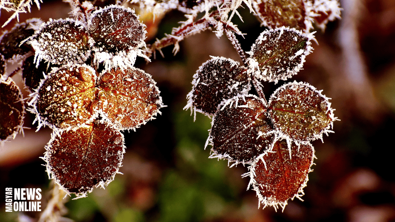 Mínusz 7,4 fok! – megdőlt a hajnali hidegrekord